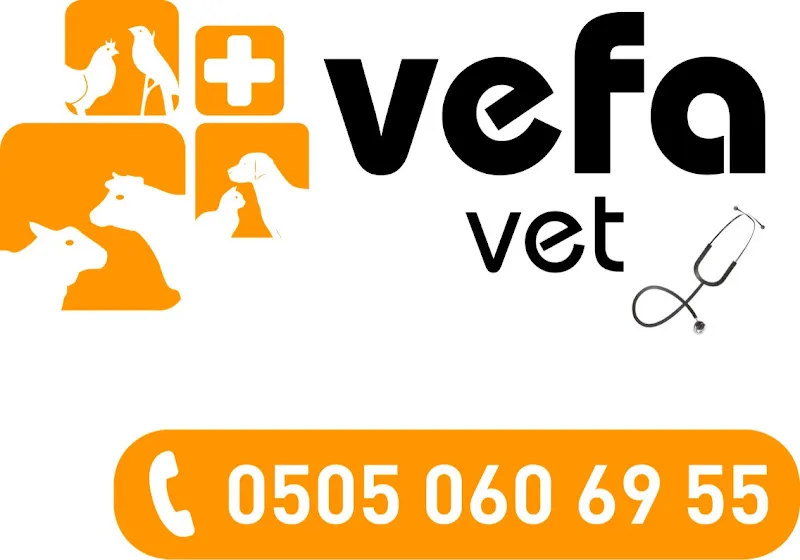 VEFA VETERİNER KLİNİĞİ - MURAT ÇELEBİ foto 2