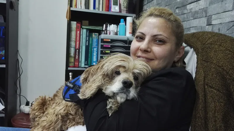 İstanbul Veteriner Kliniği-Atakum/SAMSUN foto 2