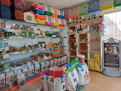 Evcil Dostlar Petshop