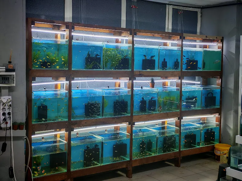 ÇORLU SEMPATİ PETSHOP foto 2