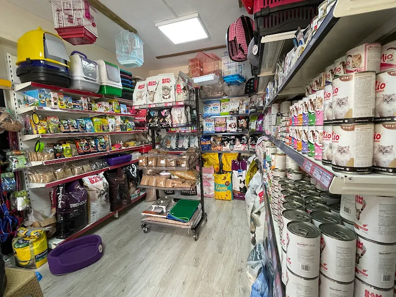 Yeditepe Petshop foto 2