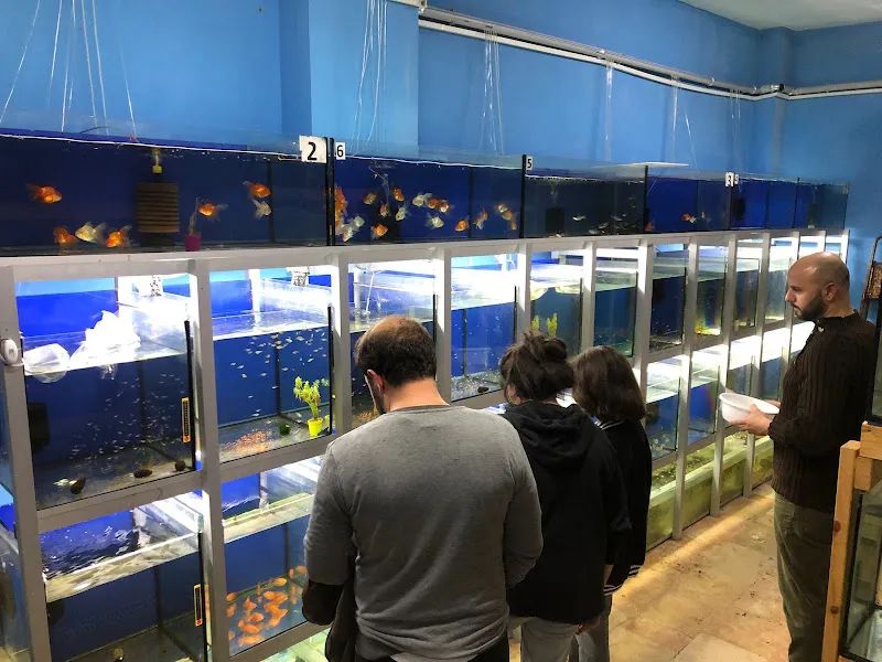 Ötüken Akvaryum & Petshop foto 2