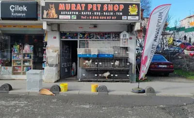 Murat Akvaryum Petshop SuLtanbeyLi