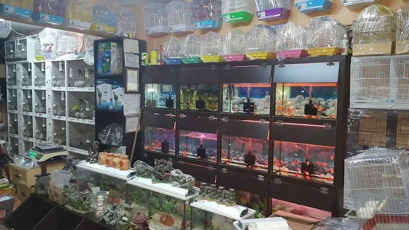 Murat Akvaryum Petshop SuLtanbeyLi foto 2