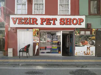 Vezir Petshop - Akvaryum (Vezirköprü / Samsun)