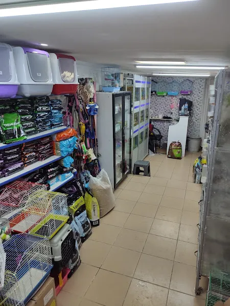 Vezir Petshop - Akvaryum (Vezirköprü / Samsun) foto 2