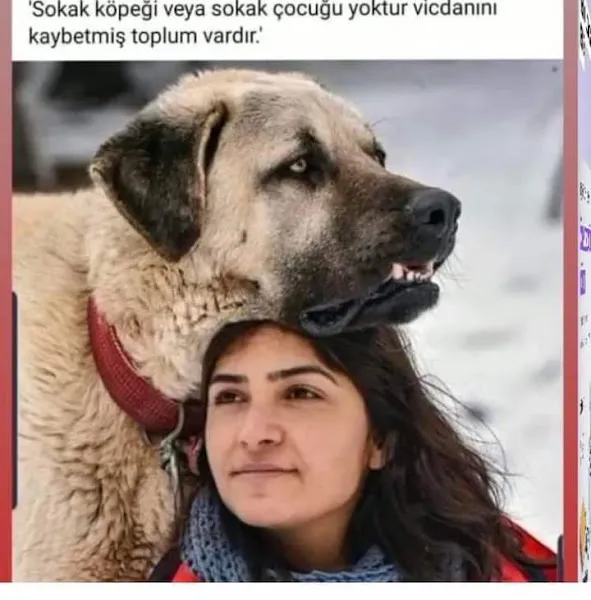 BALÇOVA VETERİNER KLİNİĞİ... foto 2