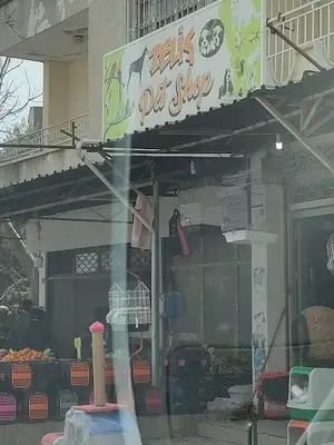 ZELİŞ PET SHOP