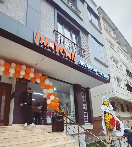 Haycan Akvaryum ve Petshop foto 1