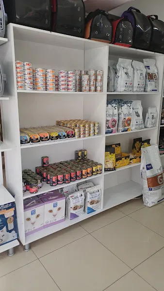 Dikili Veteriner Muayenehanesi foto 2