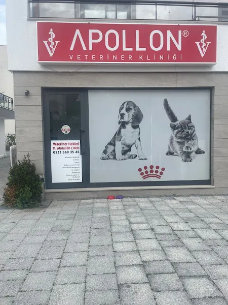APOLLON VETERİNER KLİNİĞİ BODRUM foto 1