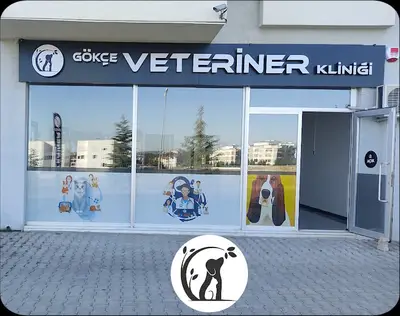GÖKÇE VETERİNER KLİNİĞİ