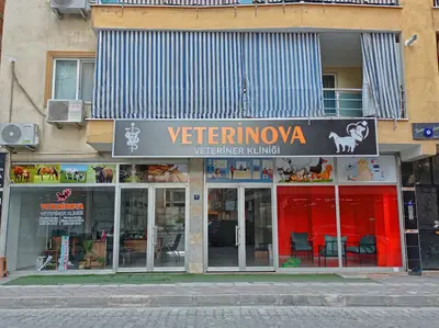 VETERİNOVA Veteriner Kliniği 7/24