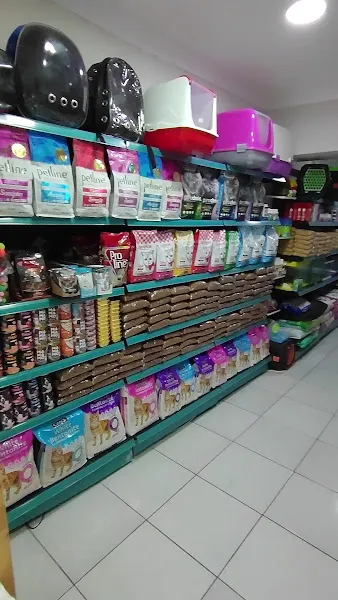 Sakarya Sihirli Petshop foto 2