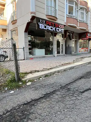 Black cat petshop