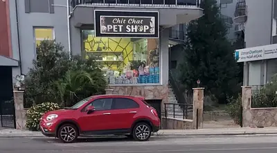 Söke Petshop ChitChat