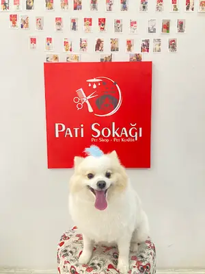 HAPPY PATİ PET KUAFÖR
