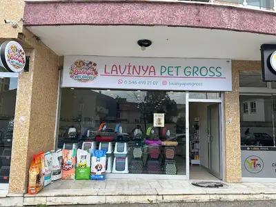 Lavinya Pet Gross