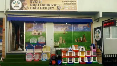 Ünalan Pet Store 🐶 Malezya Discus (Paket Servis 🚚 ) | Emaar Square Pet Shop