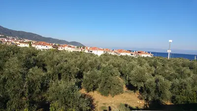 Ayvacık Belediyesi