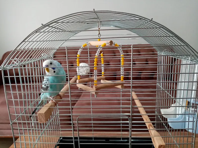 DOĞA PETSHOP foto 2