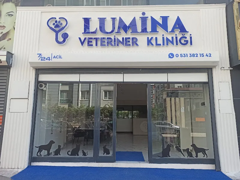 LUMİNA VETERİNER KLİNİĞİ foto 2