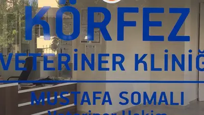 Körfez veteriner kliniği fotoğrafı