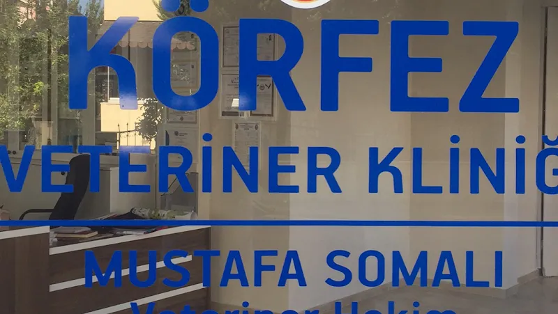 Körfez veteriner kliniği foto 1