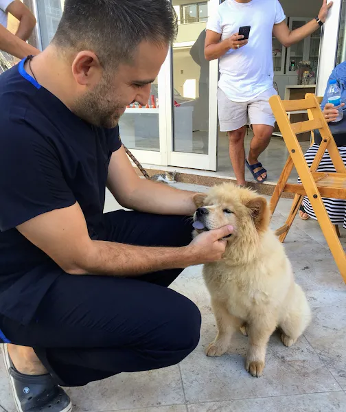 Körfez veteriner kliniği foto 2