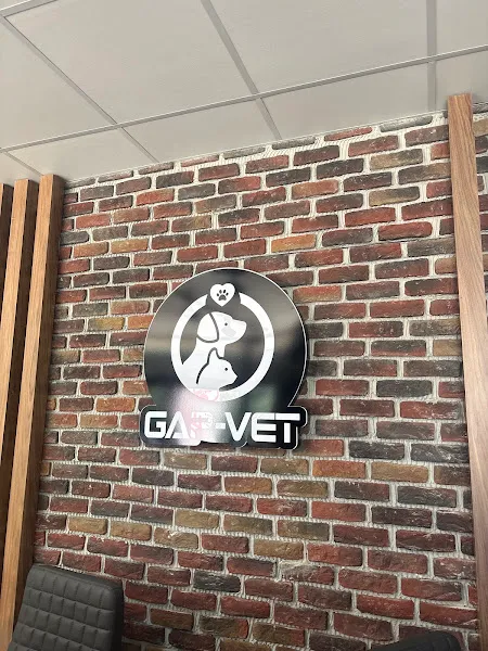 Gap-Vet Veteriner Kliniği foto 2