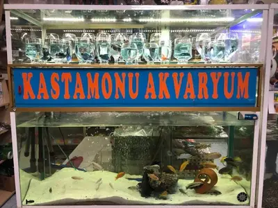 Tropikal Akvaryum