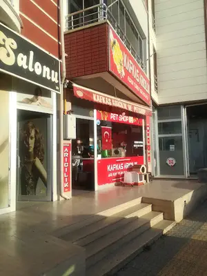 Kafkas Petshop