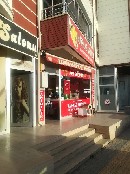 Kafkas Petshop foto 1