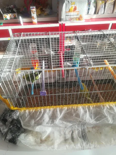 Kafkas Petshop foto 2