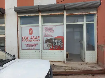 EGE ASAF VETERİNER KLİNİGİ