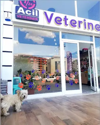Paw Life Veteriner Kliniği