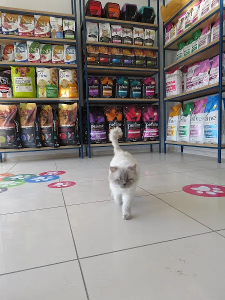 Tokat Orthopati Veteriner Kliniği foto 2