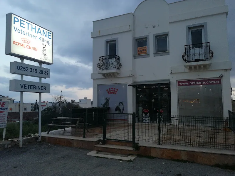 Pethane Veteriner Polikliniği foto 1