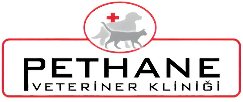 Pethane Veteriner Polikliniği foto 2