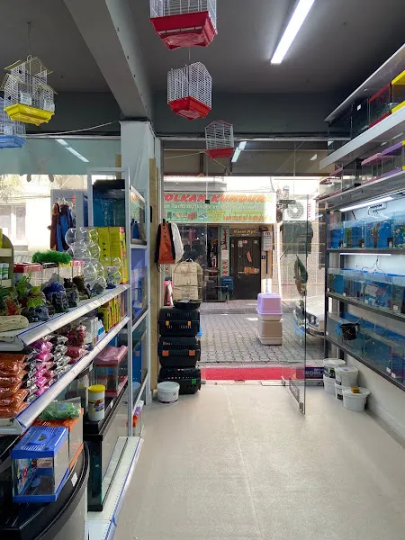 Eylül Petshop & Pet Butik foto 2