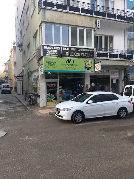 Empati Petshop foto 1