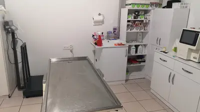 Vetlife Veteriner Kliniği