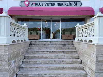 A Plus Veteriner Kliniği