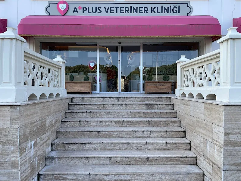 A Plus Veteriner Kliniği foto 1