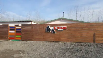 Samsun Köpek Eğitim Merkezi ve Oteli K-9 CLUB