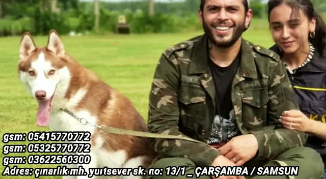 Samsun Köpek Eğitim Merkezi ve Oteli K-9 CLUB foto 2