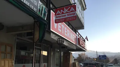 Anka Veteriner Kliniği