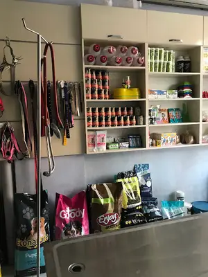 Pakvet Veteriner Kliniği