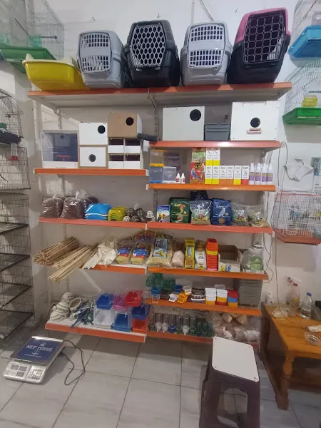 BABA PETHŞOP EVCİL HAYVAN DÜNYASI foto 2