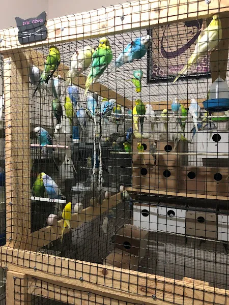 Selçuklu Petshop foto 1